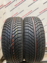 Goodyear 4 Seasons R17	205/50