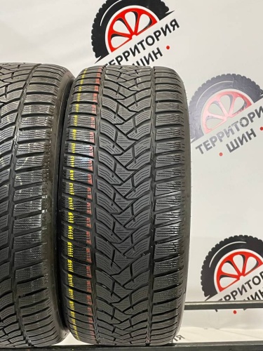 Dunlop Winter Sport 5 R19 255/45