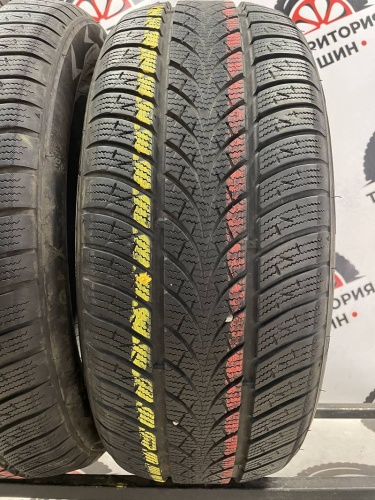 Triangle WinterX TW401 R17 215/55
