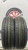 Dunlop Digi-Tyre EC 202 R14 175/65