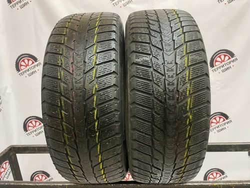 Nexen WinGuard Ice Plus R16 195/55 91T
