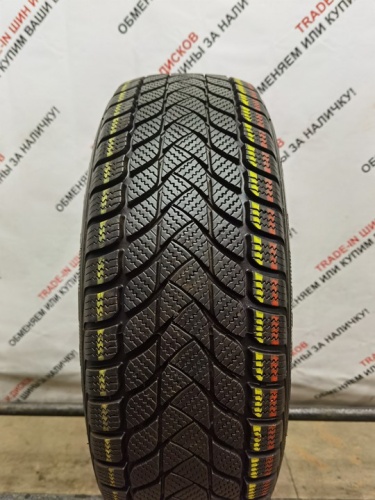 Landsail Winter Lander 195/65 R15
