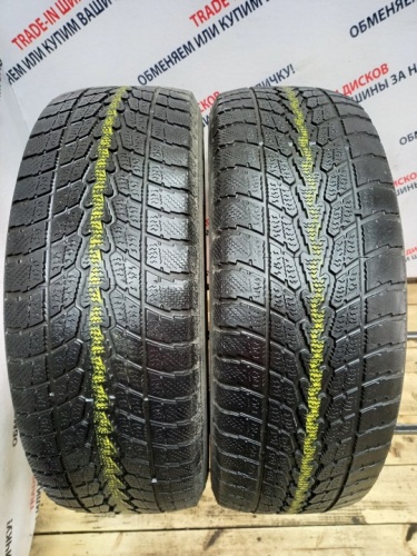 Toyo Winter Tranpath S1 R17 225/65