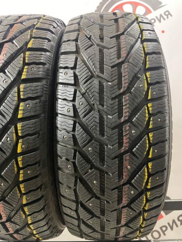 Tigar Ice R17 225/55