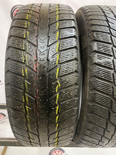 Nexen WinGuard Ice Plus R16 195/55 91T