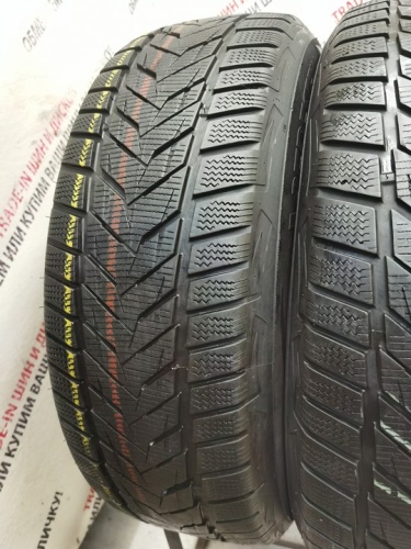 Vredestein Winter Xtreme S R18	225/55