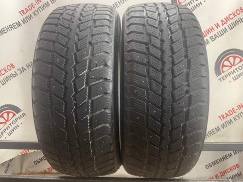 Nexen Winguard 231 R16 205/55