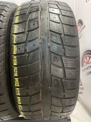 Blacklion Winter Tamer W507  R17 225/50