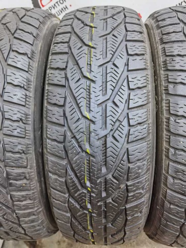 Tigar Winter R15 195/65