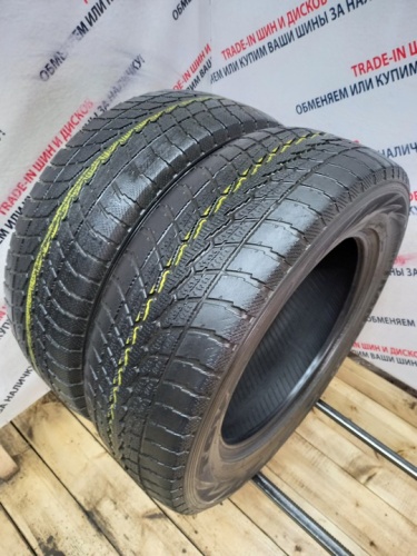Toyo Winter Tranpath S1 R17 225/65